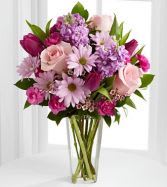 you're perfect - roses daysies tulips  stock and more