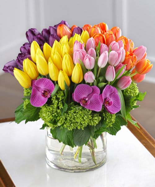 Sweetest Day Bouquet - Bring spring indoors with this arrangement of mixed tulips. As well as being seen as one of the heralds of the season, in some folklore the tulip was believed to bring good and plenty into the home. Send this bouquet of tulips to someone who you wish abundance for this year.arranged above baby green hydrangea in a clear glass vase. The bouquet is accented with purple Phalaenopsis blooms.