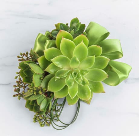 Succulent Corsage by BloomNation™ - A succulent styled corsage that matches any color scheme for formal, prom and weddings. 