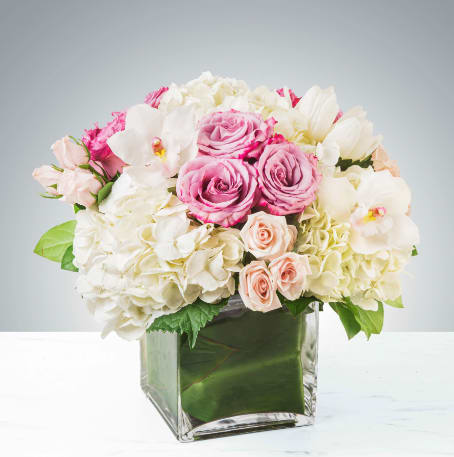 Carolina by BloomNation™ Carolina by BloomNation™ - Classic and Beautiful, this large arrangement whispers luxury. Soft pinks, whites and creams come together to create an appealingly feminine gift. Perfect for welcoming a new baby, wishing happy birthday or saying congratulations. APPROXIMATE DIMENSIONS: 15" W X 15" H