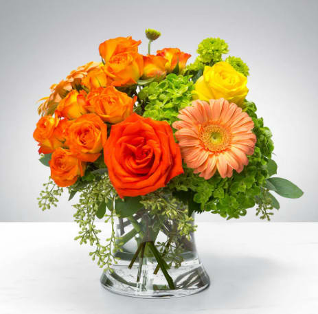 New Beginnings by BloomNation™ New Beginnings by BloomNation™ - Autumn reminds us that new seasons calls for new beginnings. The leaves know it, that’s why they switch up their colors. The bears know it, that’s why they stock up on food for a long winter of hibernation. And finally, the flowers know it, hence the creation of this arrangement. No matter what change you’re celebrating in someone's life, this arrangement is sure to propel them forward into the wonders of tomorrow.