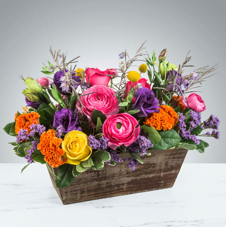 Groovy by BloomNation™ Groovy by BloomNation™ - Keep things fun with this jewel toned flower box! Ranunculus, roses, and lisianthus in a wooden garden box give this arrangement its bright colors and textures to create a beautiful centerpiece or gift. APPROXIMATE DIMENSIONS 18" W X 10" H