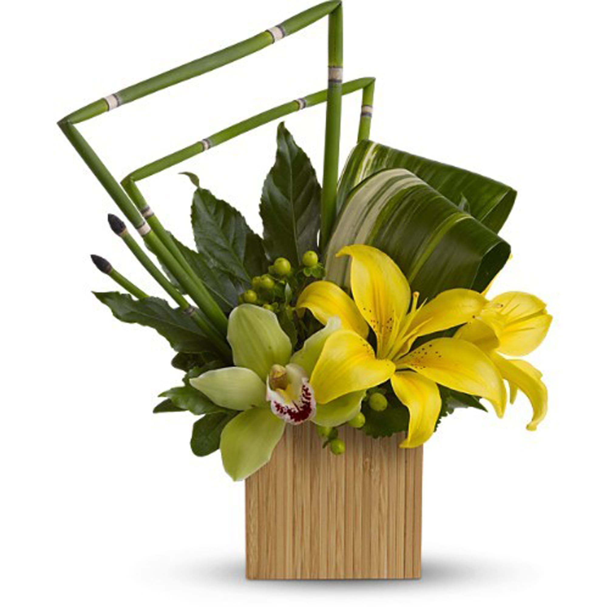 Teleflora's Bamboo Zen Teleflora's Bamboo Zen - Give the gift of peace and tranquility to someone special with this serenely beautiful array of lilies and orchids in a cube vase made of real bamboo. While you're at it, give one to yourself. The artistic bouquet includes yellow Asiatic lilies, green cymbidium orchids and green hypericum accented with assorted greenery and delivered in a 4 1/2" contemporary cube vase made of real bamboo. Bouquet is approximately 15" H x 13 3/4" W Orientation: All-Around As Shown : TFWEB618