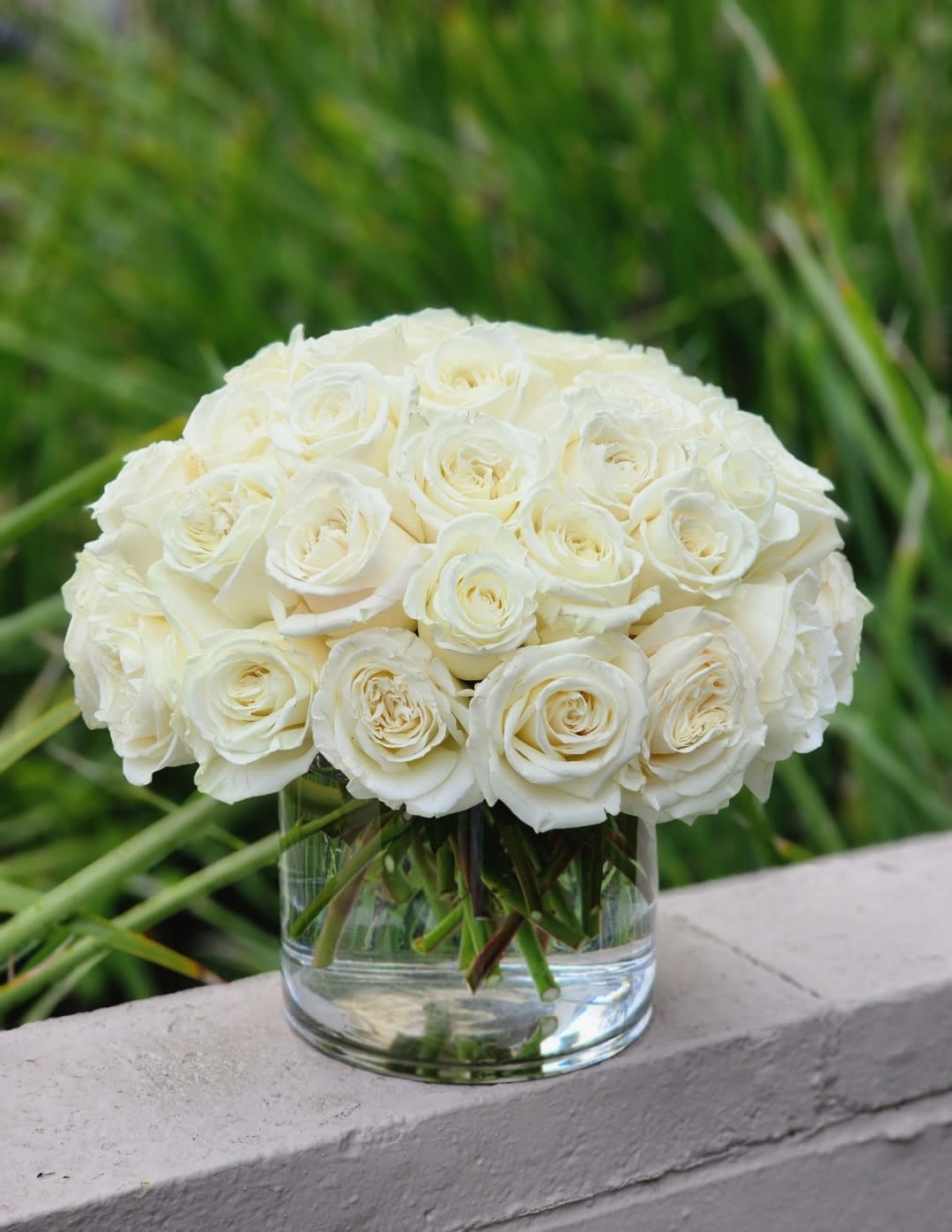 White Roses Wedding  - White roses symbolize harmony and purity, sympathy, devotion. They symbolize purity, love, innocence, deep respect and reverence. White roses will also help to confess your love: a man giving a bouquet of white roses in the language of flowers tells you that he is fascinated by your beauty and that his feelings for you are the brightest and most beautiful