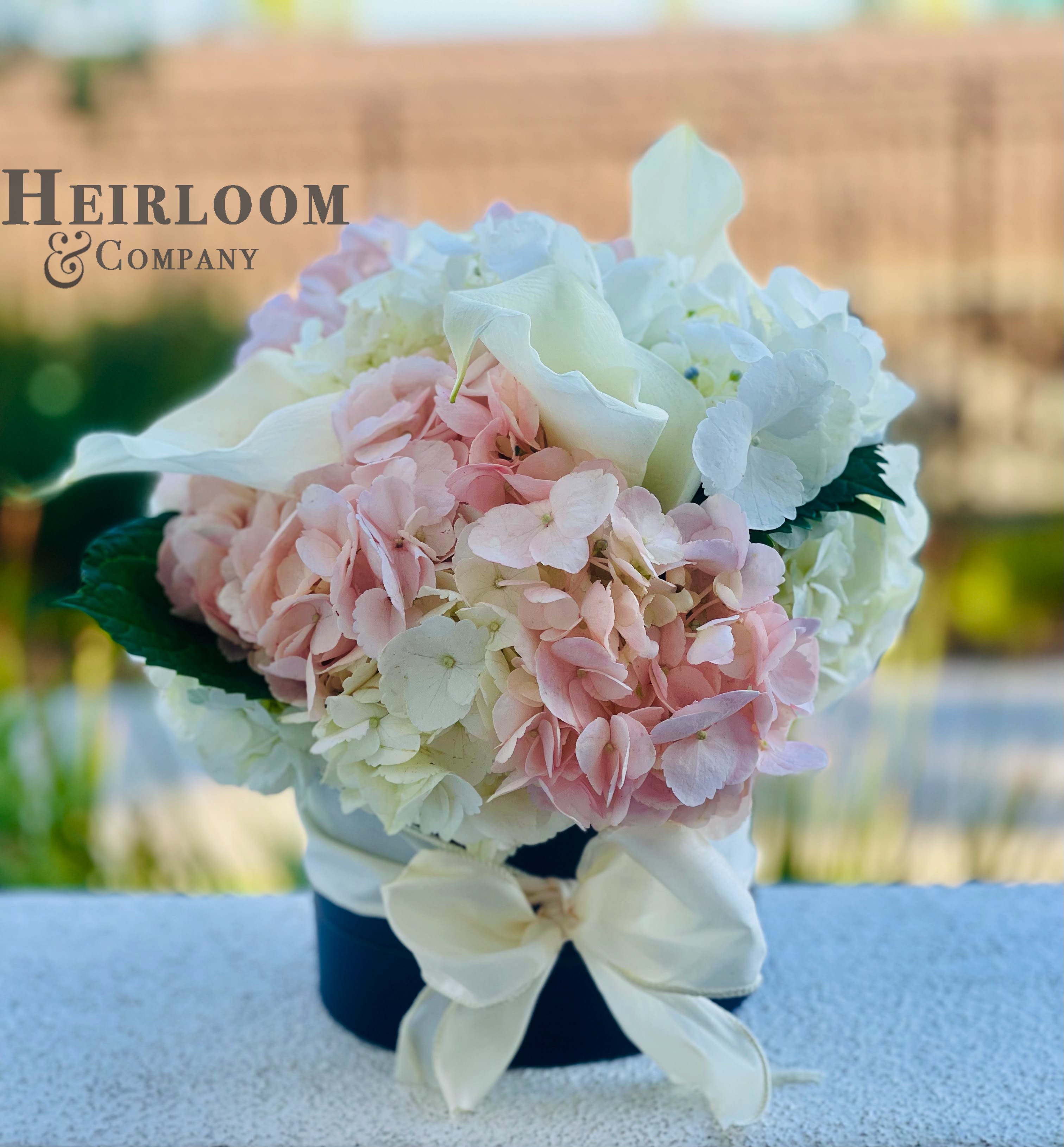 Raelyn  - An adorable hatbox filled with blush and white premium hydrangeas and Cala lilies, presented in a black matte hat box wrapped with an ivory satin bow.