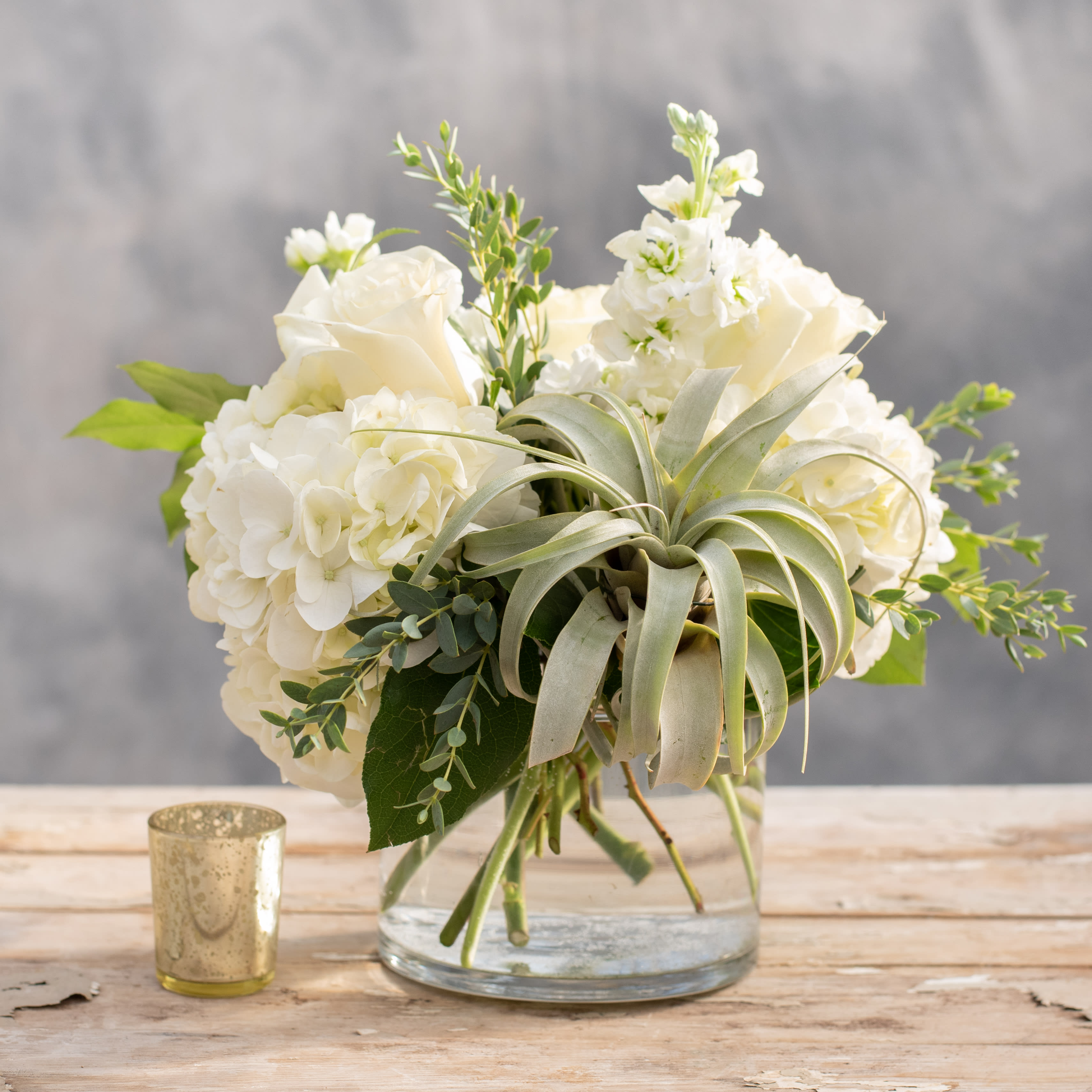 Elegant &amp; Airy - Enjoy this elegant 6&quot; cylinder filled with hydrangea, roses, stock, premium greens and topped with a large air plant.  Once the flowers have been appreciated the air plant can be admired forever with proper care.