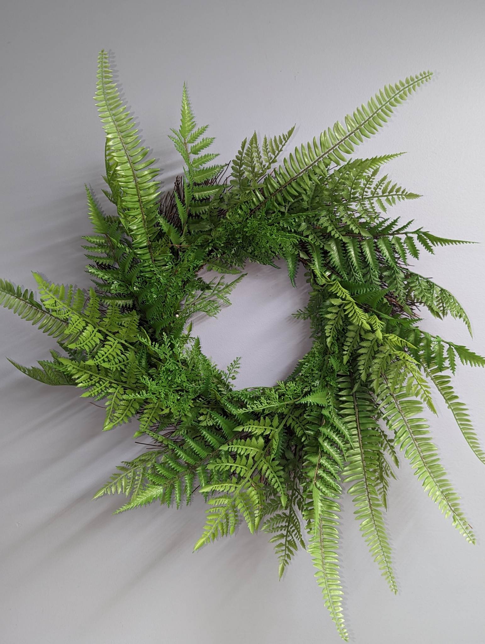 Mixed Ferns Silk Wreath - Mixed Ferns Silk Wreath. 12&quot; wreath with approximately 24&quot; reach
