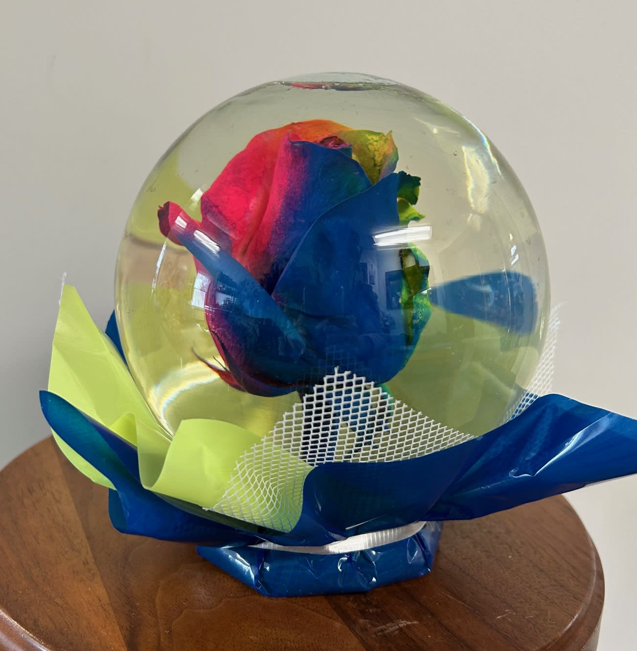 Rainbow Rose Globe in Charleston, IL Noble Flower Shop
