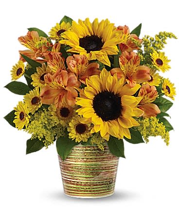 Teleflora's Grand Sunshine Bouquet Teleflora's Grand Sunshine Bouquet - Light up their day with this sunshine-y bouquet! Bursting with golden sunflowers and orange alstroemeria this heart-warming arrangement is hand-delivered in a beautifully glazed ceramic cachepot made in Portugal. It's sure to delight!