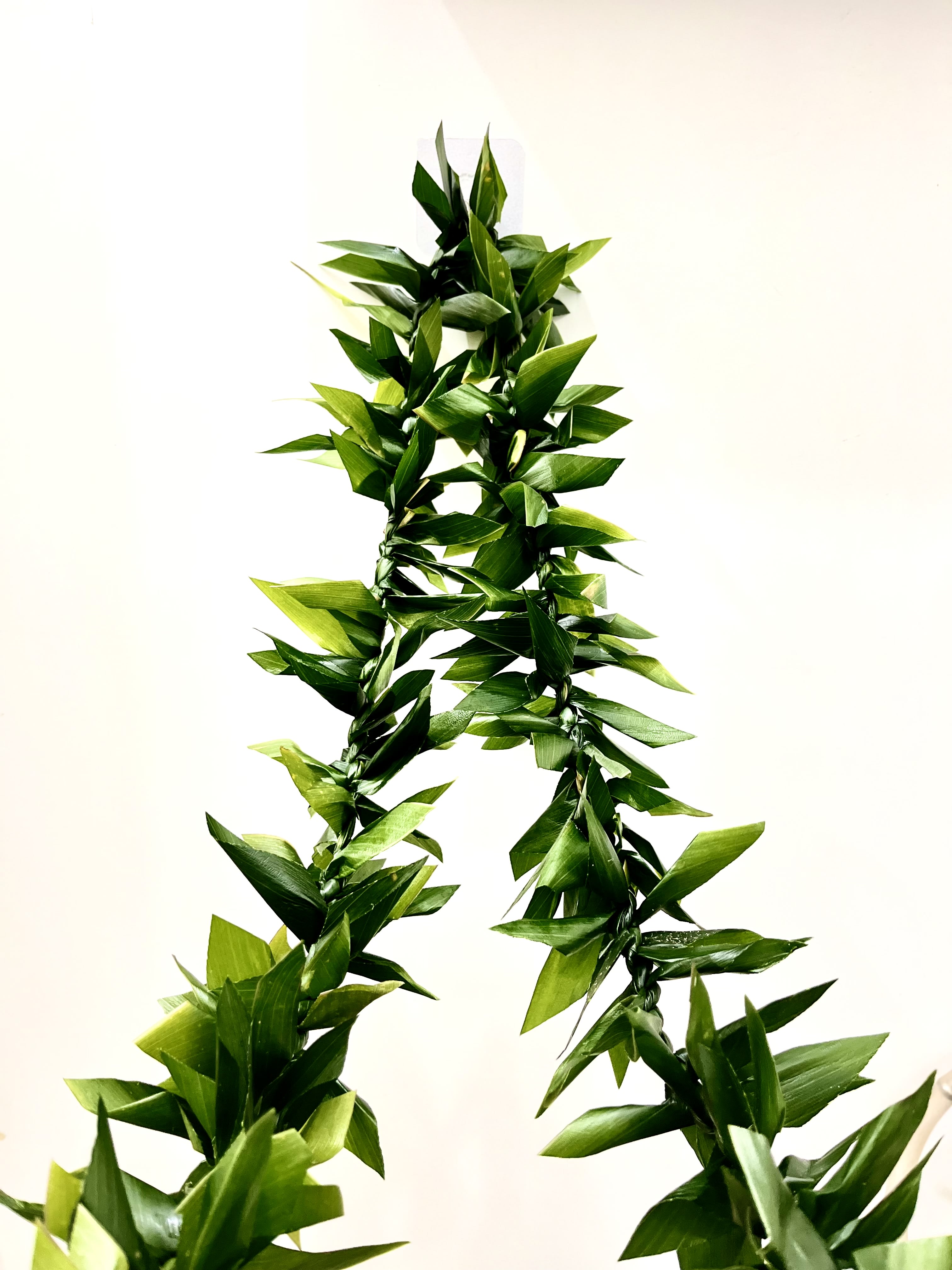 Elegant Floral Leaf Botanical … curated on LTK