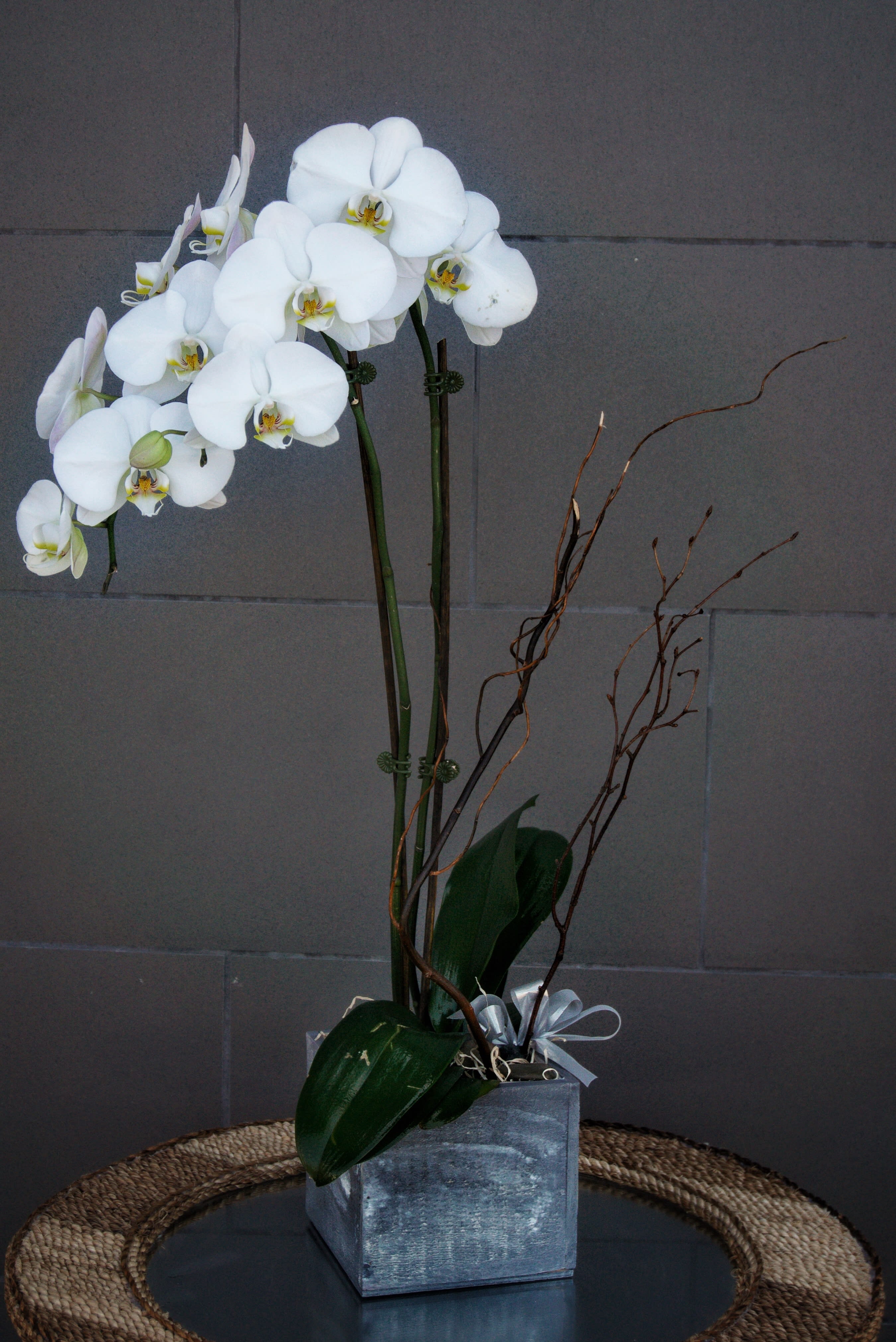 Elegant Orchids - Phalaenopsis orchid plant with nice decoration is a good gift for all occasion. STANDARD: FIRST PHOTO DELUXE: SECOND PHOTO PREMIUM: THIRD PHOTO