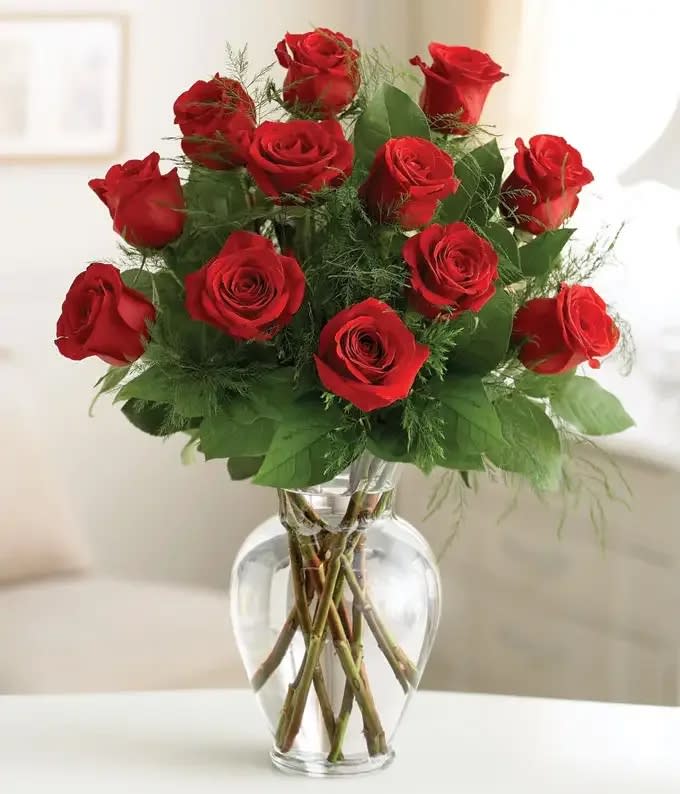 Dozen Long Stemmed Roses with Baby's Breath by BloomNation™ - These dozen red roses with baby's breath are classic! Perfect romantic gift for Valentine's Day or an Anniversary.   APPROXIMATE DIMENSIONS: 25&quot; H X 18&quot; W