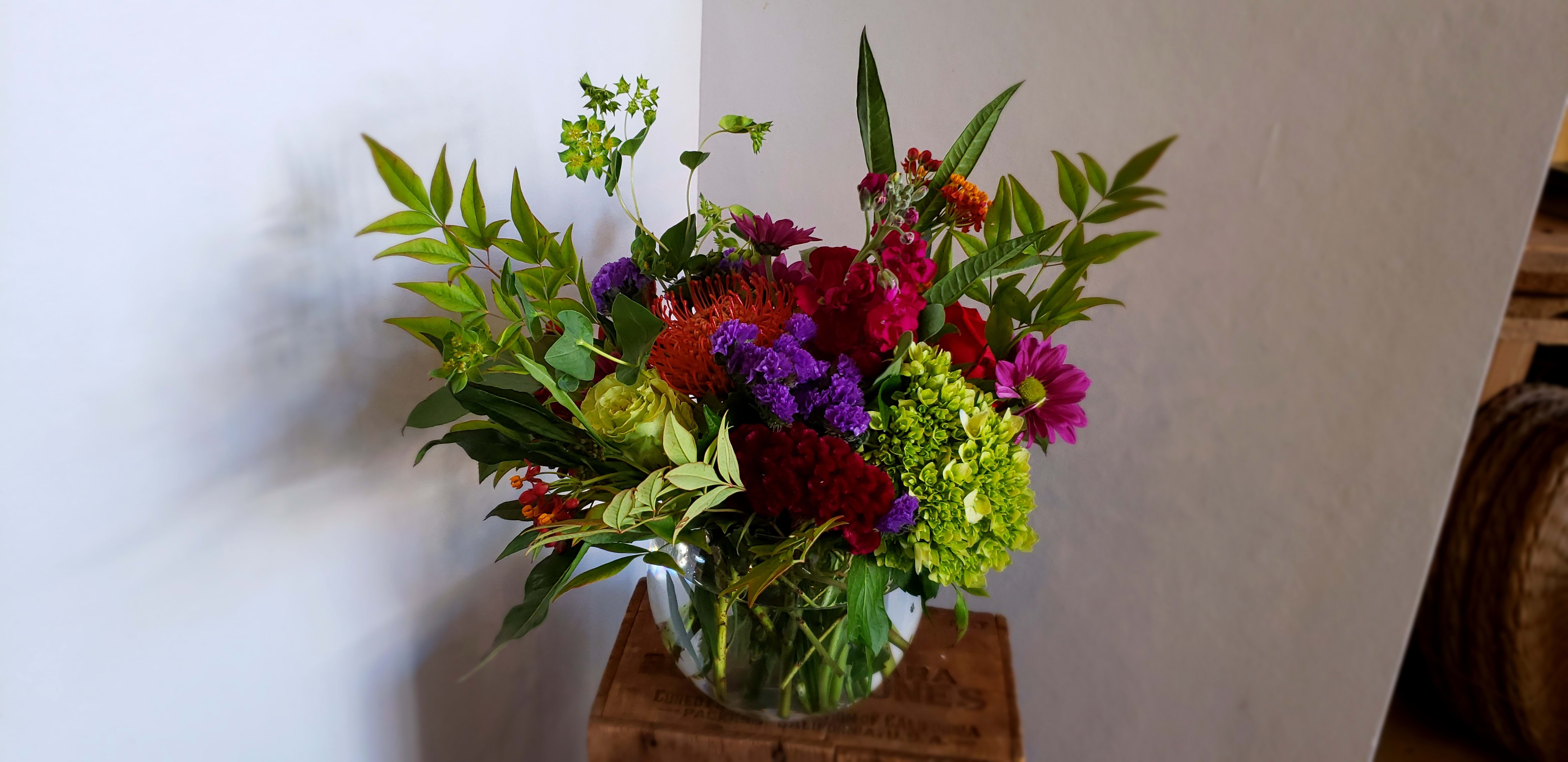 Samba - Let's dance!