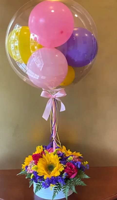 Balloon arrangement 2025