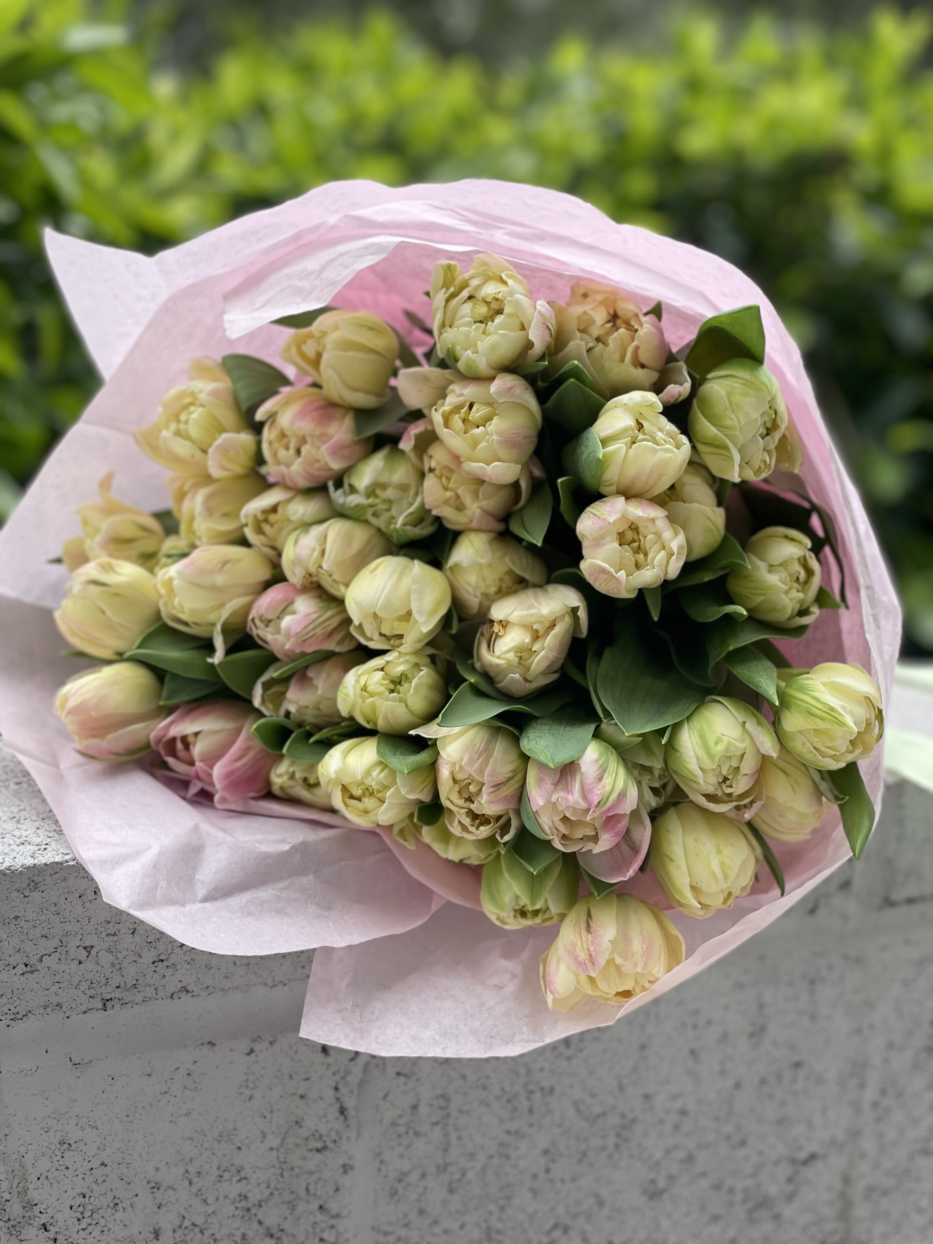 Mix of tulips - Mix of the most beautiful tulips wrapped in tender tissue paper (the photo shows the standard size)