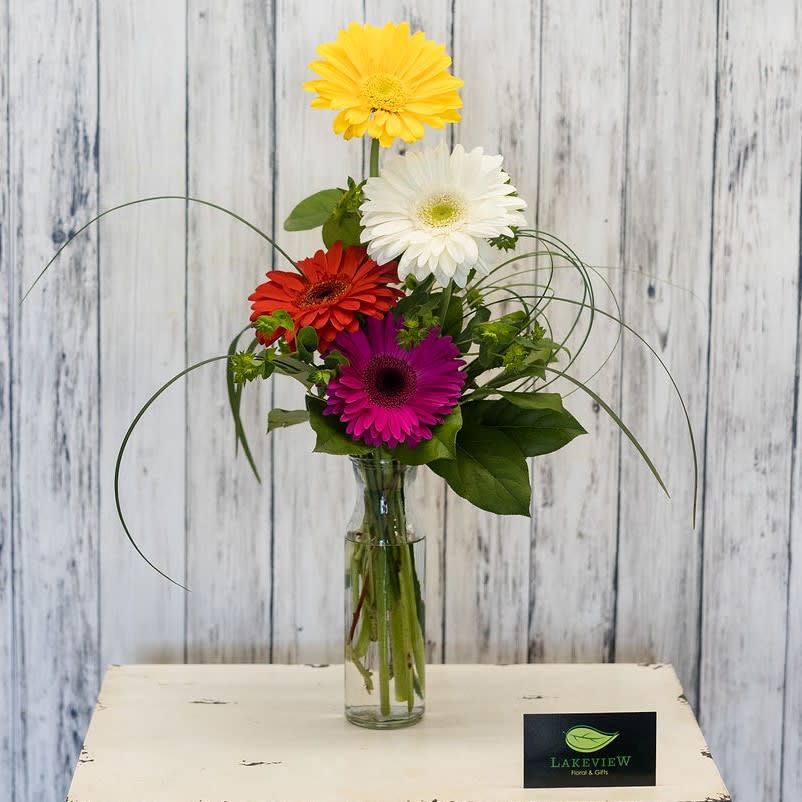 Happiness - Send a smile!  Assorted gerbera daisies arranged in a modern style will bring joy delivered to work, home or school!  Approximate Dimensions: 28&quot; H x 10&quot; W