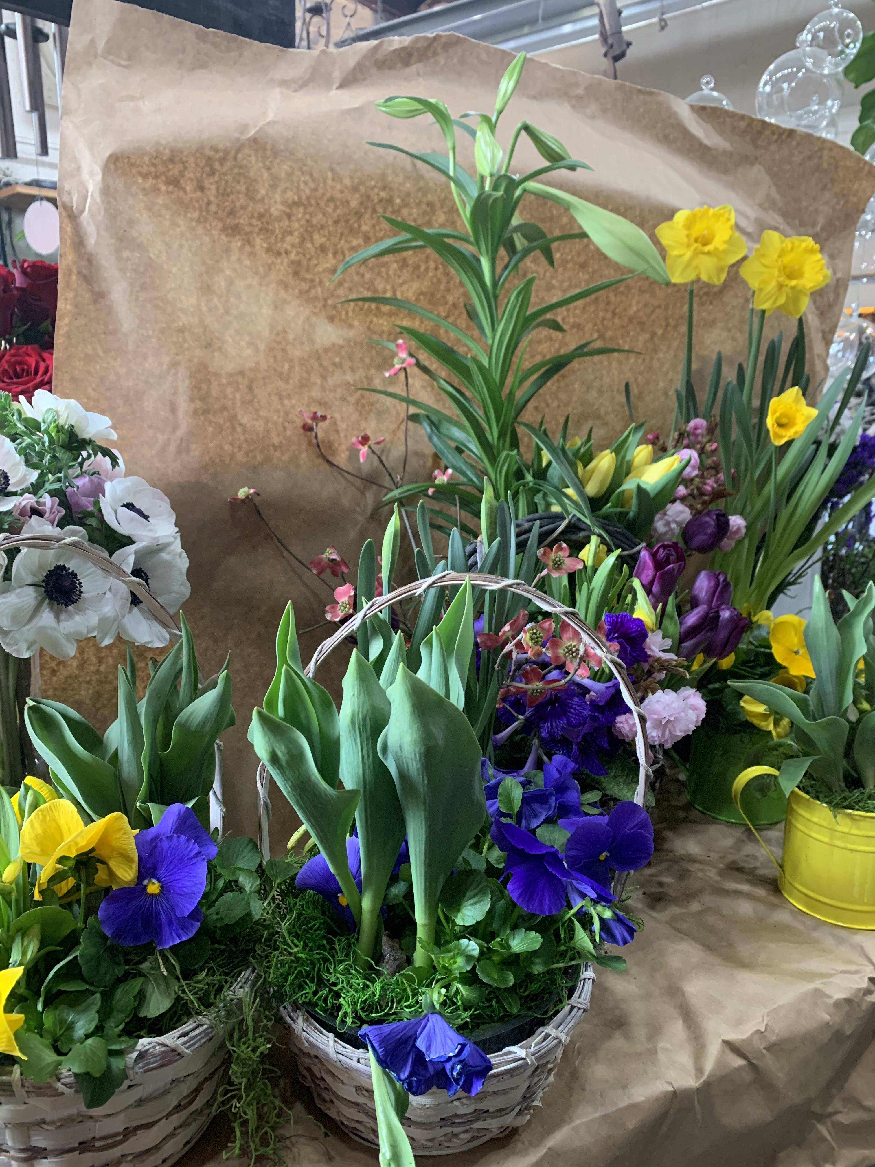 Easter Basket filled with premium living bulbs in Hoboken, NJ