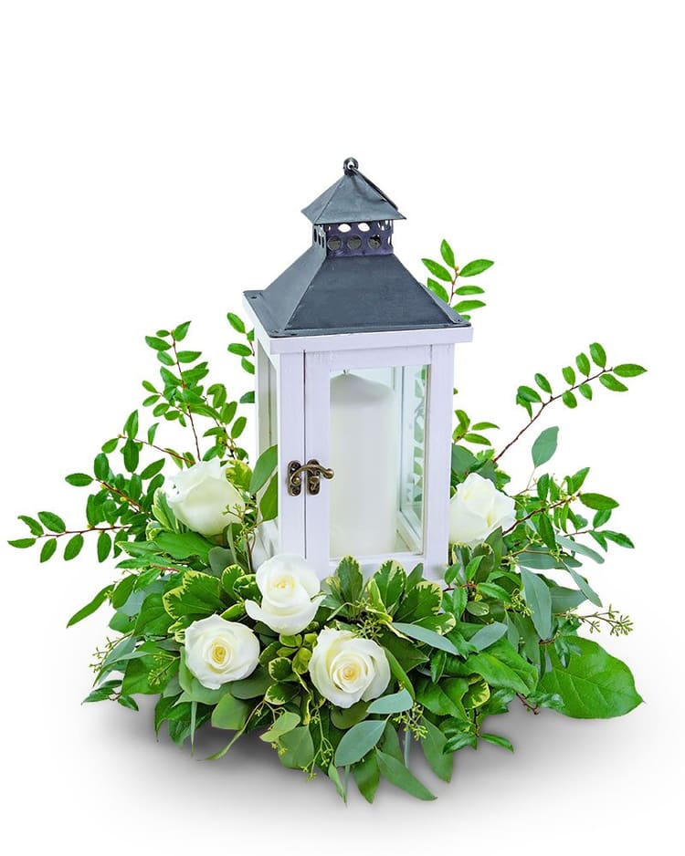 Pure Peace - This beautiful lantern arrangement will add a warm glow to any holiday occasion. Signature White Rose Lantern features a white lantern with candle surrounded by white roses and a variety of foliage. This design will look perfect on any dining or coffee table.  Please note lanterns may vary