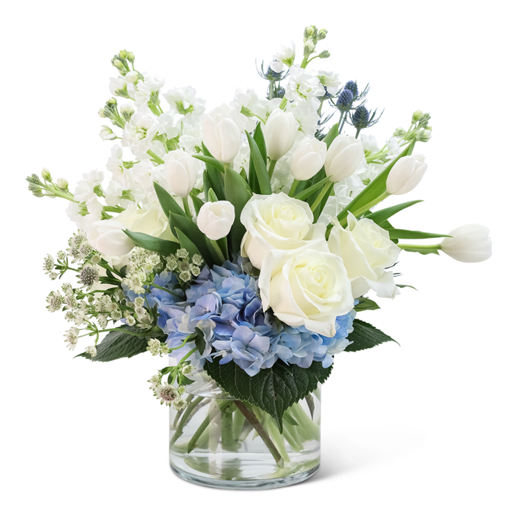 White Wonder - Doesn't everyone need a Breath of Fresh Air delivered to their day? Everyone will appreciate the beauty and fragrance of this magnificent floral design. This refreshing arrangement features long-lasting white roses, tulips, hydrangea, stock, astrantia, and eryngium. A Breath of Fresh Air is the perfect gift for a birthday, get well, or anniversary present to make your loved one feel extra special.