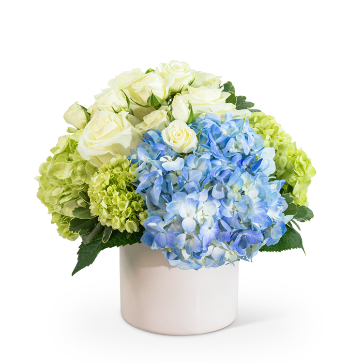 Angel's Garden - Angel's Garden is a full and lush design that would make anyone's day! It is a customer favorite, with blue and green full size and mini hydrangea, white roses and spray roses, in a modern white container.