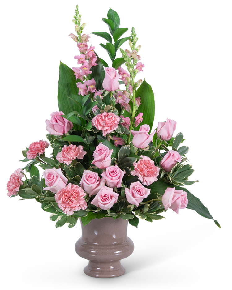 Forever Rejoicing Tribute - Pink carnations symbolize thoughts of remembrance, while pink roses are a sign of appreciation and grace. We bring together these beautiful pink flowers in a stunning design we call our Forever Urn. It features delicate pink roses, carnations, snapdragons, Aspidistra, and premium foliage. Forever Urn is the perfect sympathy design to send to a funeral or a grieving family to let them know their loved one will be forever adored and remembered. 