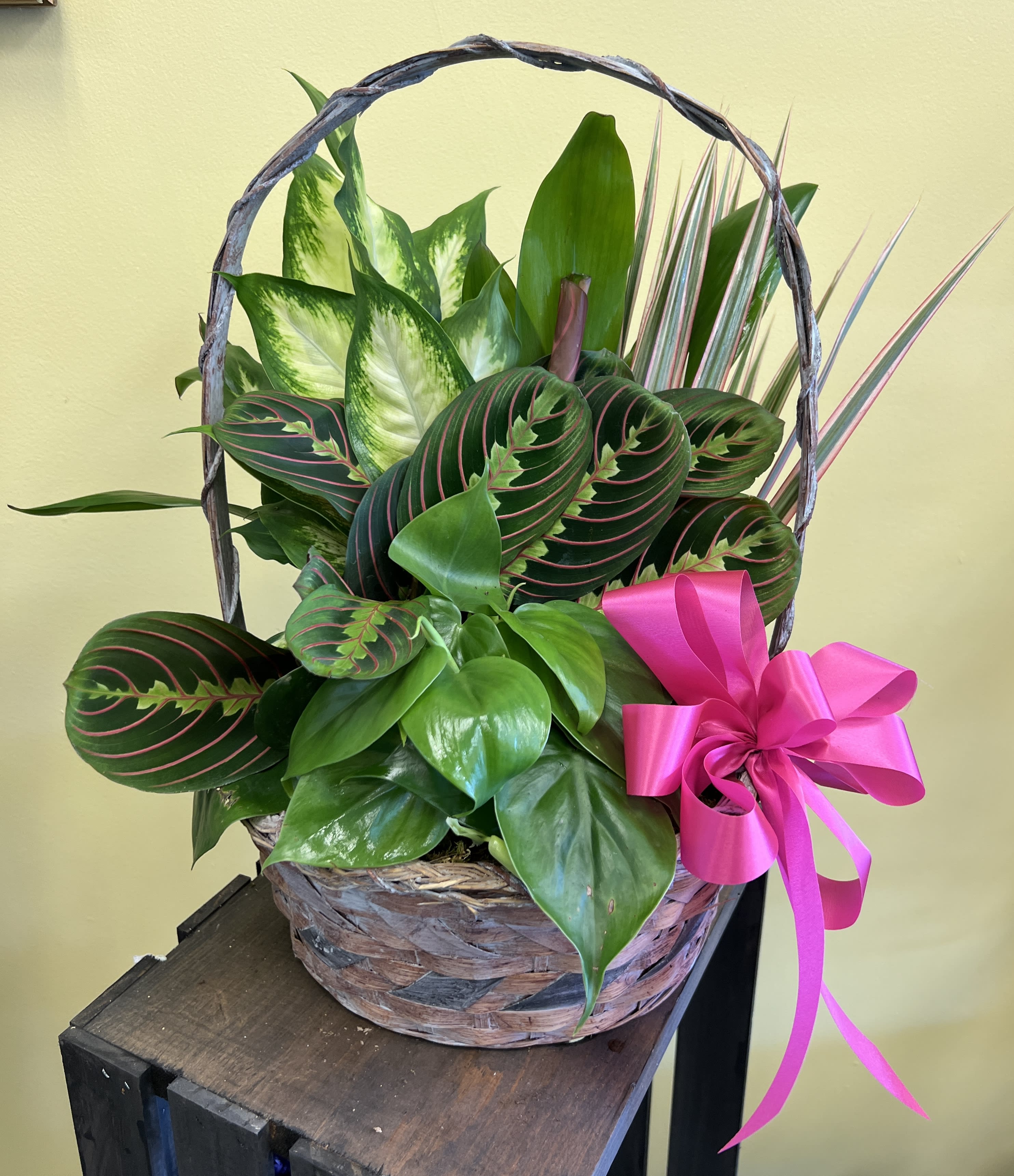 Flowers Melbourne Fl Best Flower Site