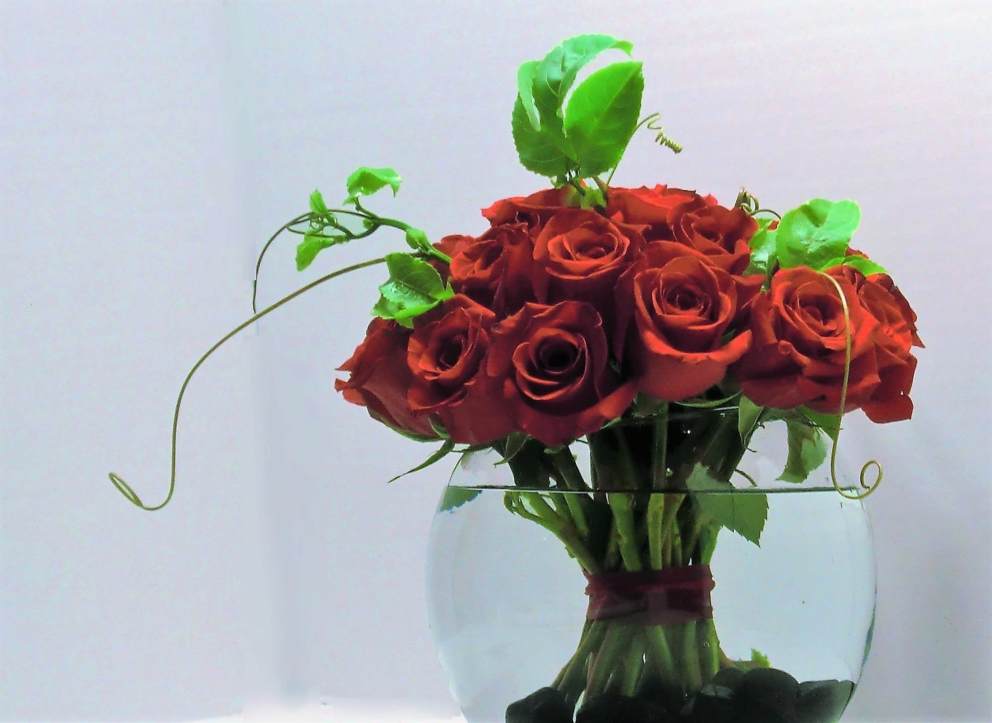 Red Rose Bubble Bowl - Two dozen red roses are grouped together to form a beautiful rose arrangement.  Accented with Passion Fruit Vines  in a bubble bowl and set in river rocks.