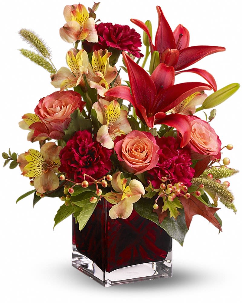 Indian Summer Indian Summer - As bright and intense as a hot Indian summer afternoon this deep red orange and burgundy bouquet - complemented by autumn-hued oak leaves and feathery millet - is arranged in a modern glass cube vase that's a luscious shade of plum. Who wouldn't love to receive such a gift? Orange roses and alstroemeria red Asiatic lilies burgundy carnations huckleberry and berries - accented with artificial oak leaves and millet - are arranged in a plum glass Teleflora cube vase.