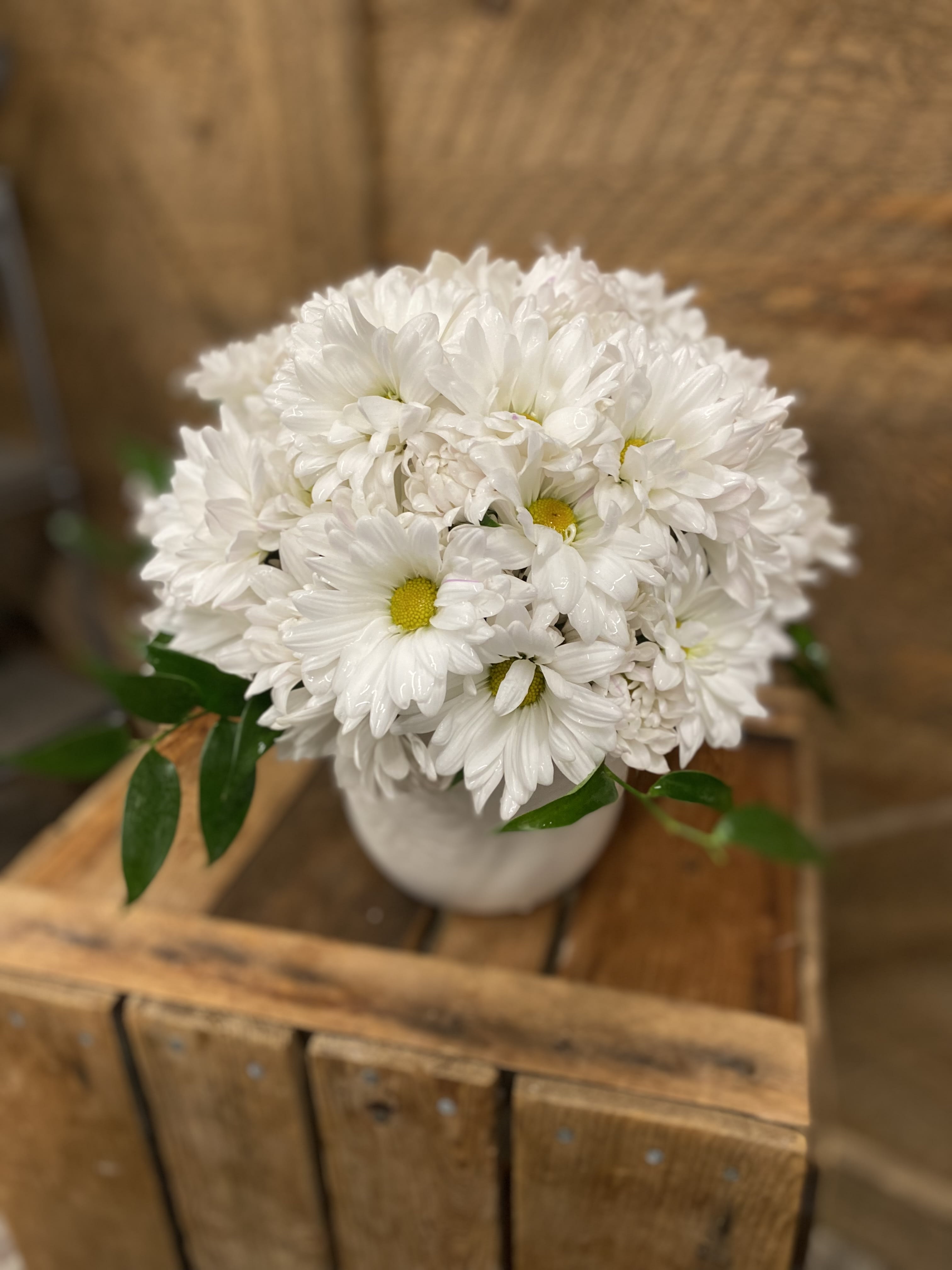 Daisy girl Daisy girl - An adorable white daisy arrangement designed in a beautiful white ceramic container. Version shown is the deluxe.