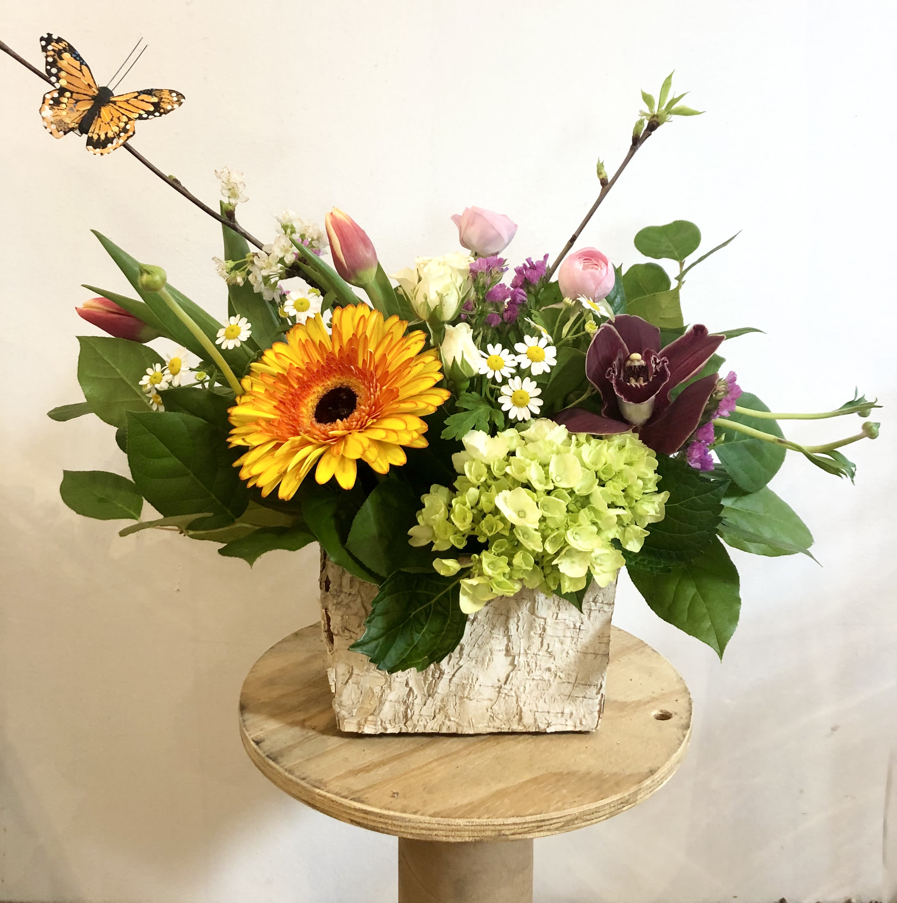 Butterfly Garden Designer Choice by Zins Flowers