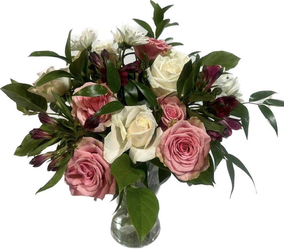 Daisy dream pink new arrivals