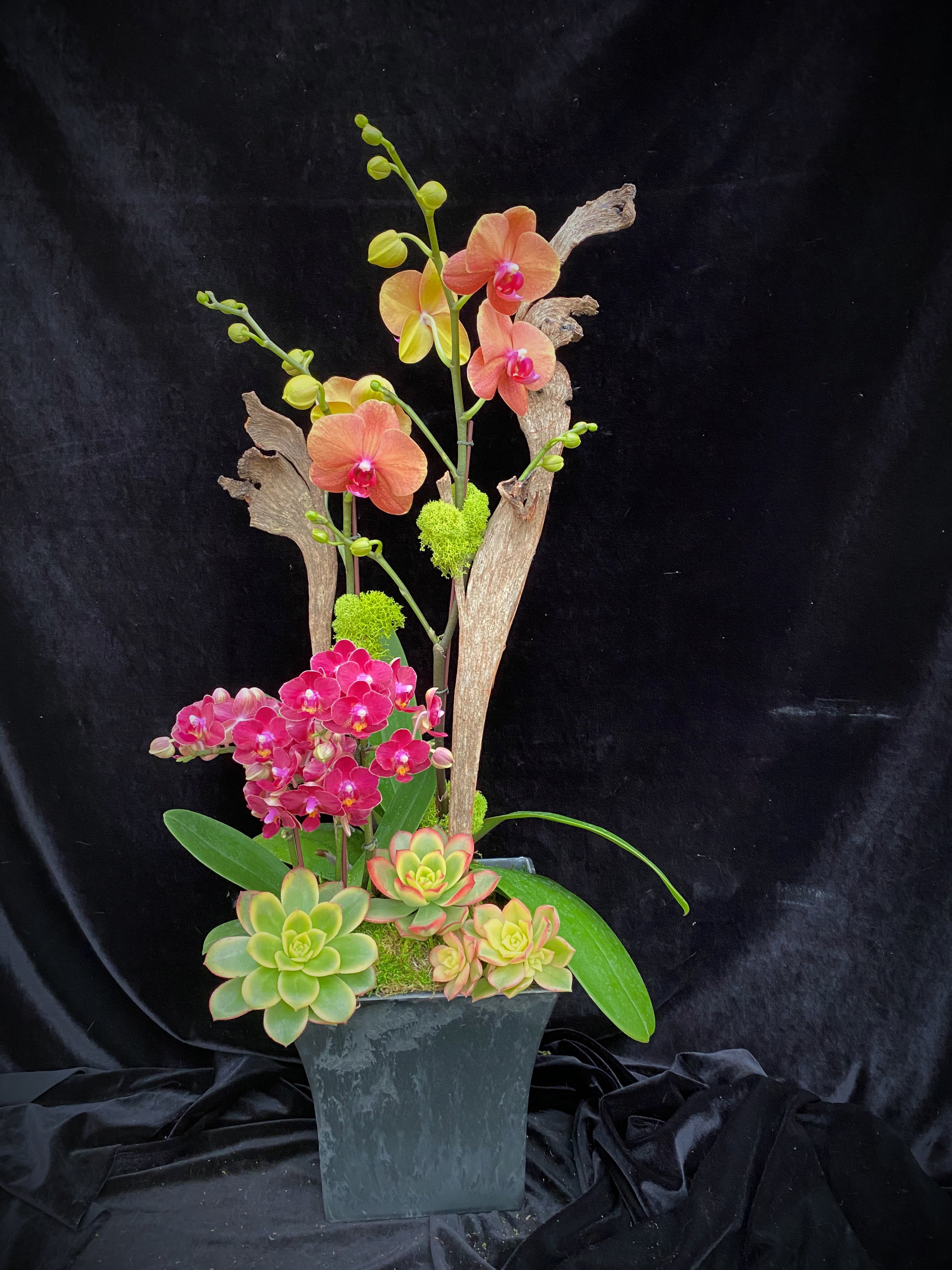 Orange Orchids #2 Orange Orchids #2 - Arrangement with two orchid