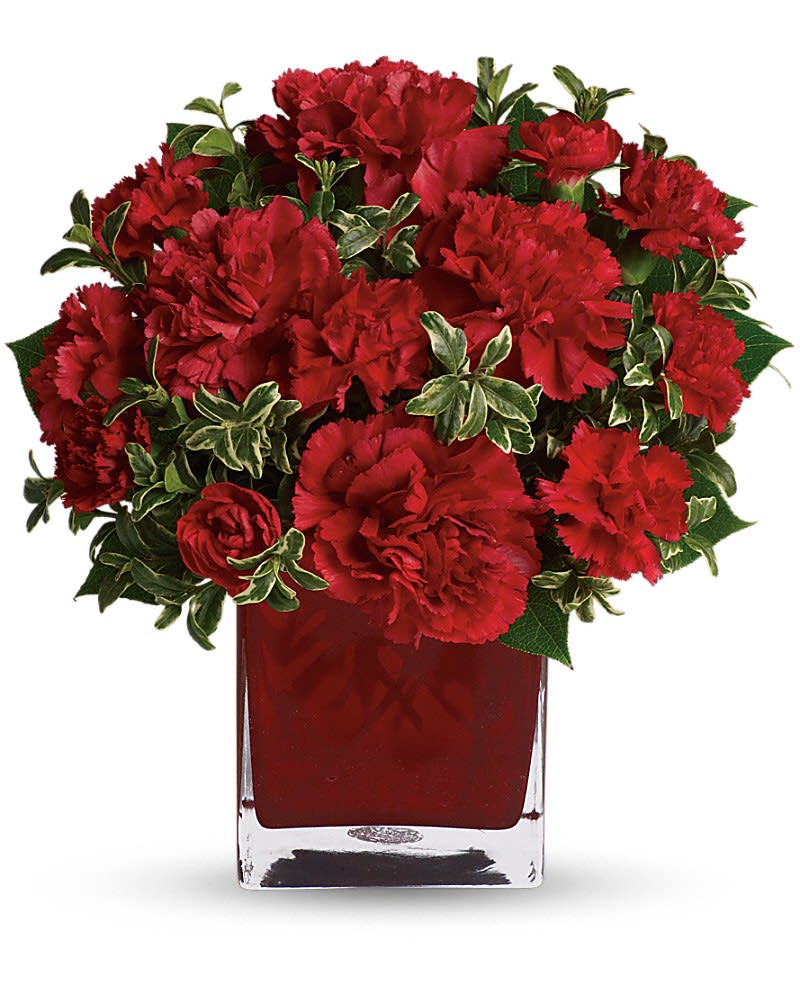 Precious Love - Simply speaking red means romance. Send this bouquet of vibrant red carnations to your sweetheart and you'll convey passion energy and desire. Remember also that you're sending not one gift but two: gorgeous flowers and a colorful cube vase. The vase can be used as a candle holder year round keeping the passion burning. A mix of red carnations and red miniature carnations is delivered in a red glass Teleflora cube vase.Approximately 10 1/2&quot; W x 11&quot; H
