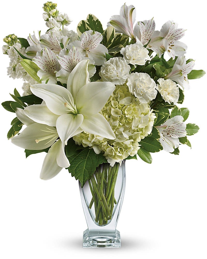 Purest Love Bouquet - Who's the fairest of them all? This snow-white bouquet. A stunning statement of your purest love this mix of hydrangea and lilies in a Couture vase will take their heart away. This snow-white bouquet includes hydrangea asiatic lilies alstroemeria miniature carnations stock and fresh green pittosporum. Delivered in a Couture vase.