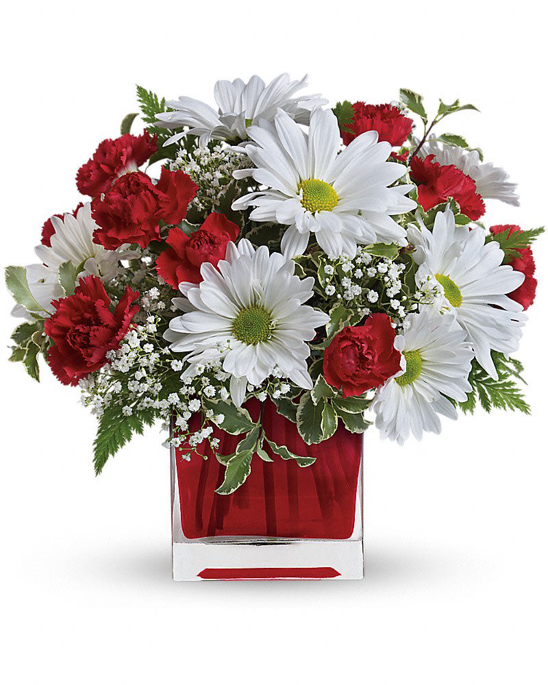 Red And White Delight - Make her day! Send your special someone this charming bouquet arranged in a ruby red glass cube. It's a gift that will surely delight! Includes miniature red carnations and white daisy chrysanthemums accented with fresh greenery. Delivered in a glass Cube.