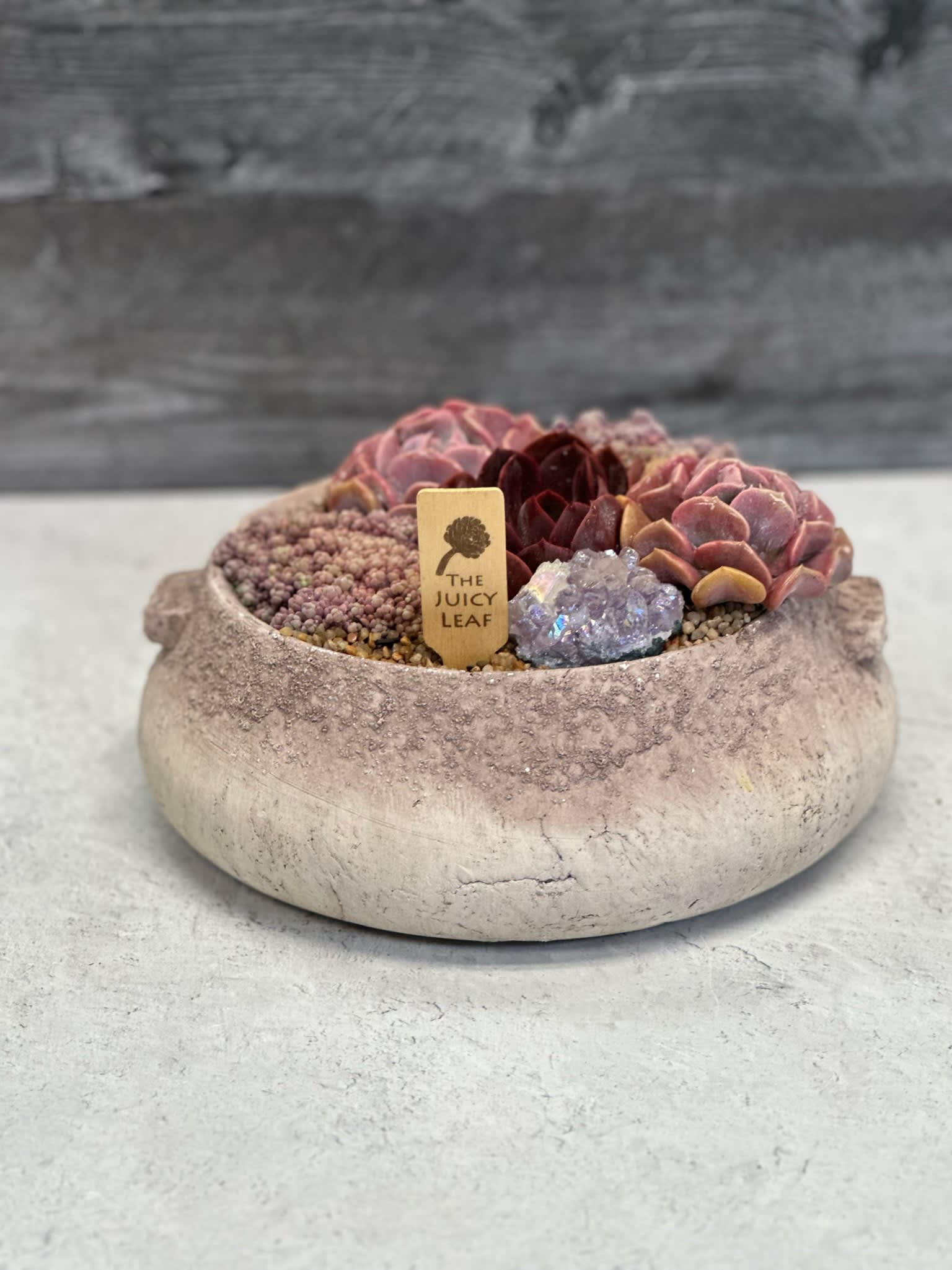 Rustic Love - A balanced succulent arrangement with 2 crystals in a concrete bowl shaped pot (10” diameter x 4” tall, no drainage hole). Succulents may vary.