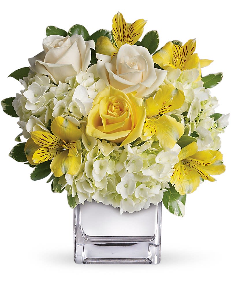 Sweetest Sunrise Bouquet - This sparkling array of sunny favorites in a silver cube vase will be the star of any room. It's a sweet gift she'll love to receive - and you'll be proud to give. Sweet price too. The cheerful bouquet includes white hydrangea yellow roses and yellow alstroemeria accented with fresh greenery. Delivered in a contemporary glass cube with a mirrored silver finish.Approximately 10 1/2&quot; W x 11 1/2&quot; H