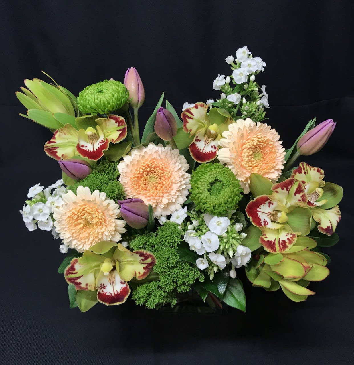 Cymbidium cube 2 - This luxurious cube includes Cymbidium orchids along with beautiful seasonal accent flowers. Accent flowers,container and color may vary. 