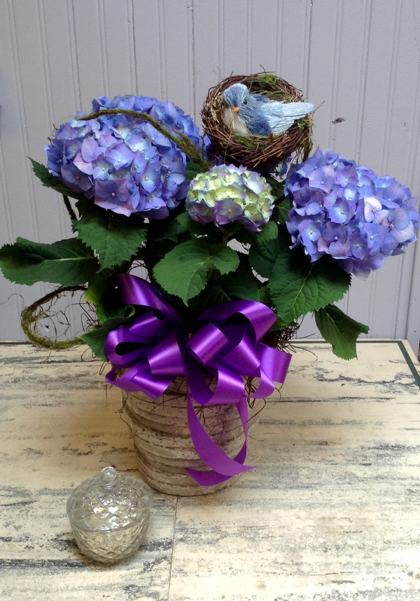 Mothers Day Hydrangea by Hudson Flower Shop