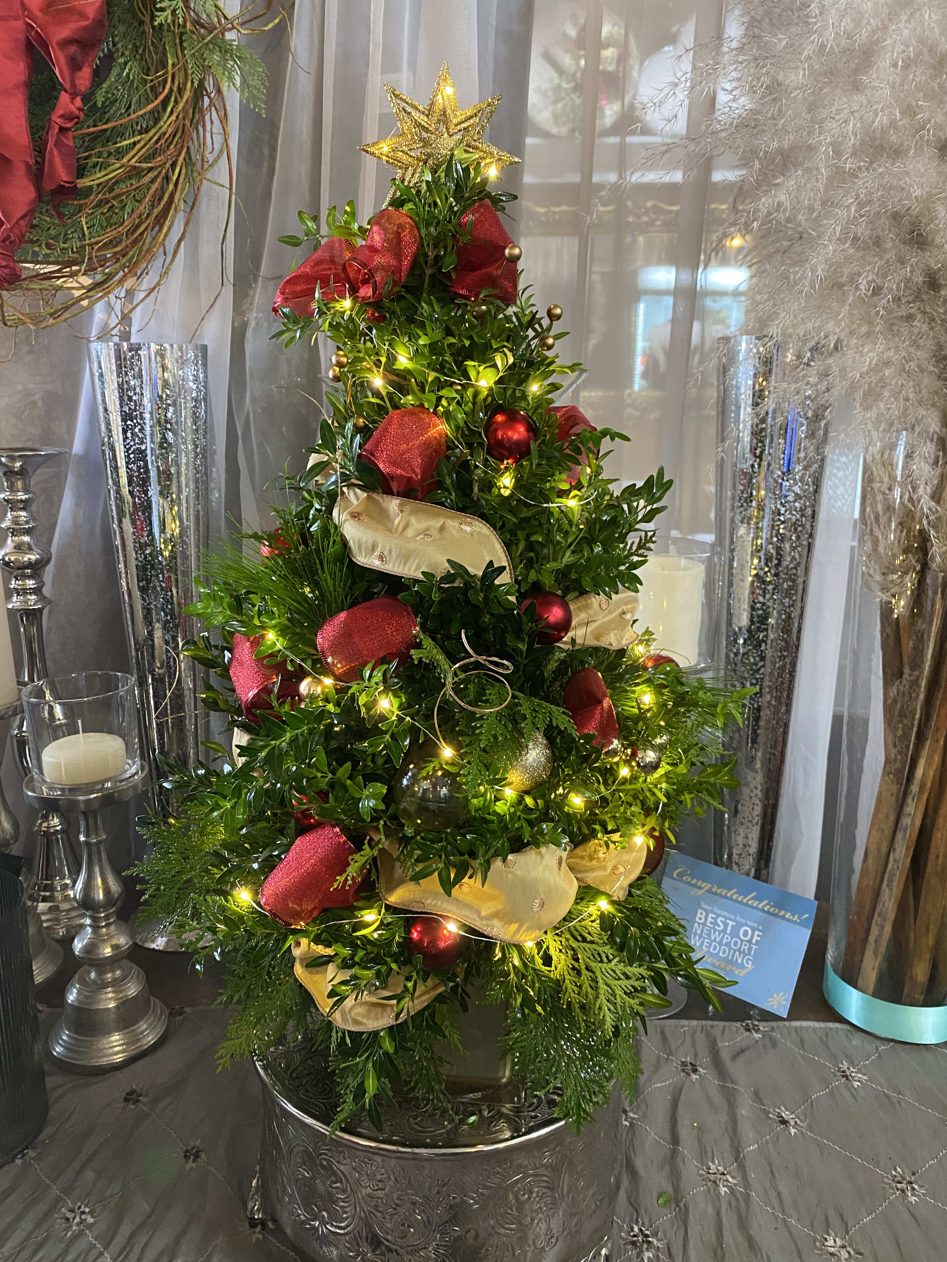 Christmas Boxwood Large BOX03 in Johnston RI Cherryhill Flowers