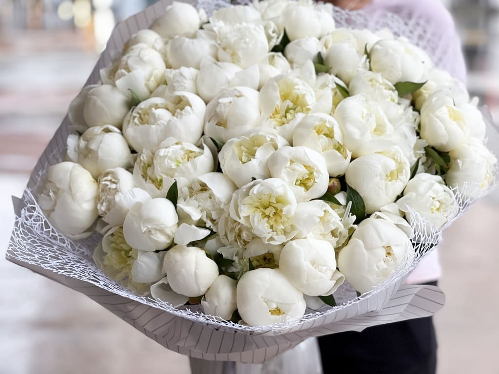 100 white peonies  - 100 white peonies bouquet in modern paper wrapping 