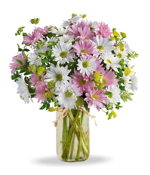 Daisy my Daisy - White and lavender daisy's arranged in a vase along with bupleurum and finished with a raffia tie 