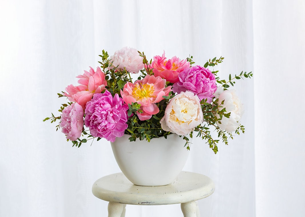 Peony Flower Flight (White Vase) in Leesburg, VA | J. Morris Flowers