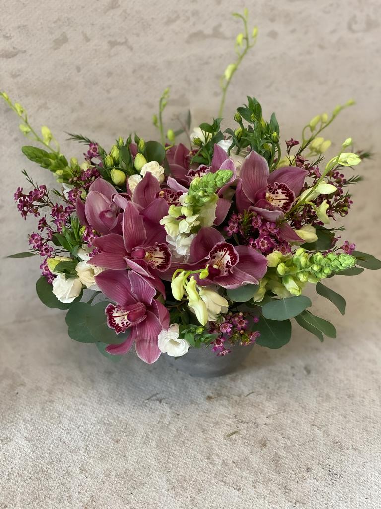 Pink Cymbidium Orchids - Standard - Your order will be arranged approximately as shown on our website