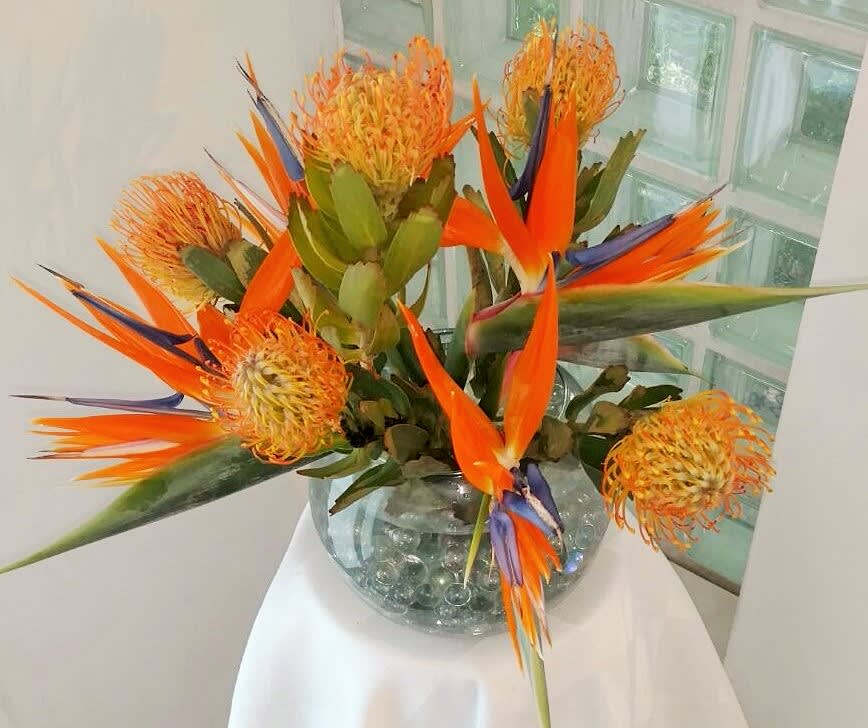 Hot Time - A gorgeous display, featuring Birds of Paradise and Pin Cushion Protea. Certain to make a tropical statement!  Perfect for a low lying centerpiece for a holiday table.