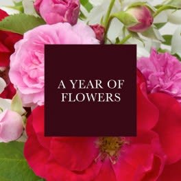 A Year of Flowers - Your lucky recipient will receive an initial delivery and two additional arrangements on consecutive months.  