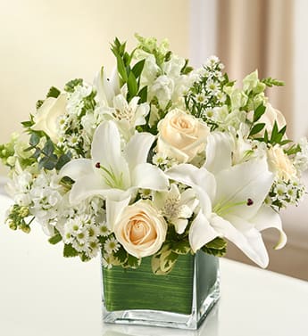Healing Blooms - All White Healing Blooms - All White - Elegant white flowers help to convey your deepest sympathies with graceful beauty that heals the soul. Our lovely cube vase arrangement offers a lasting tribute to friends and family members, crafted from fresh roses, lilies, snapdragons, monte casino and more. Elegant, all-white arrangement of roses, lilies, snapdragons, monte casino, stock and alstroemeria, accented with variegated pittosporum, myrtle and spiral eucalyptus Artistically designed by our florists in a classic clear glass cube vase lined with a Ti leaf ribbon; vase measures 5"H x 5"D Appropriate for the service or for sending to the home or office of friends and family members Large arrangement measures approximately 11"H x 11"L Medium arrangement measures approximately 10"H x 10"L Small arrangement does not include roses and measures approximately 9"H x 9"L Our florists hand-design each arrangement, so colors, varieties, and container may vary due to local availability Lilies may arrive in bud form and will open to full beauty over the next 2-3 days