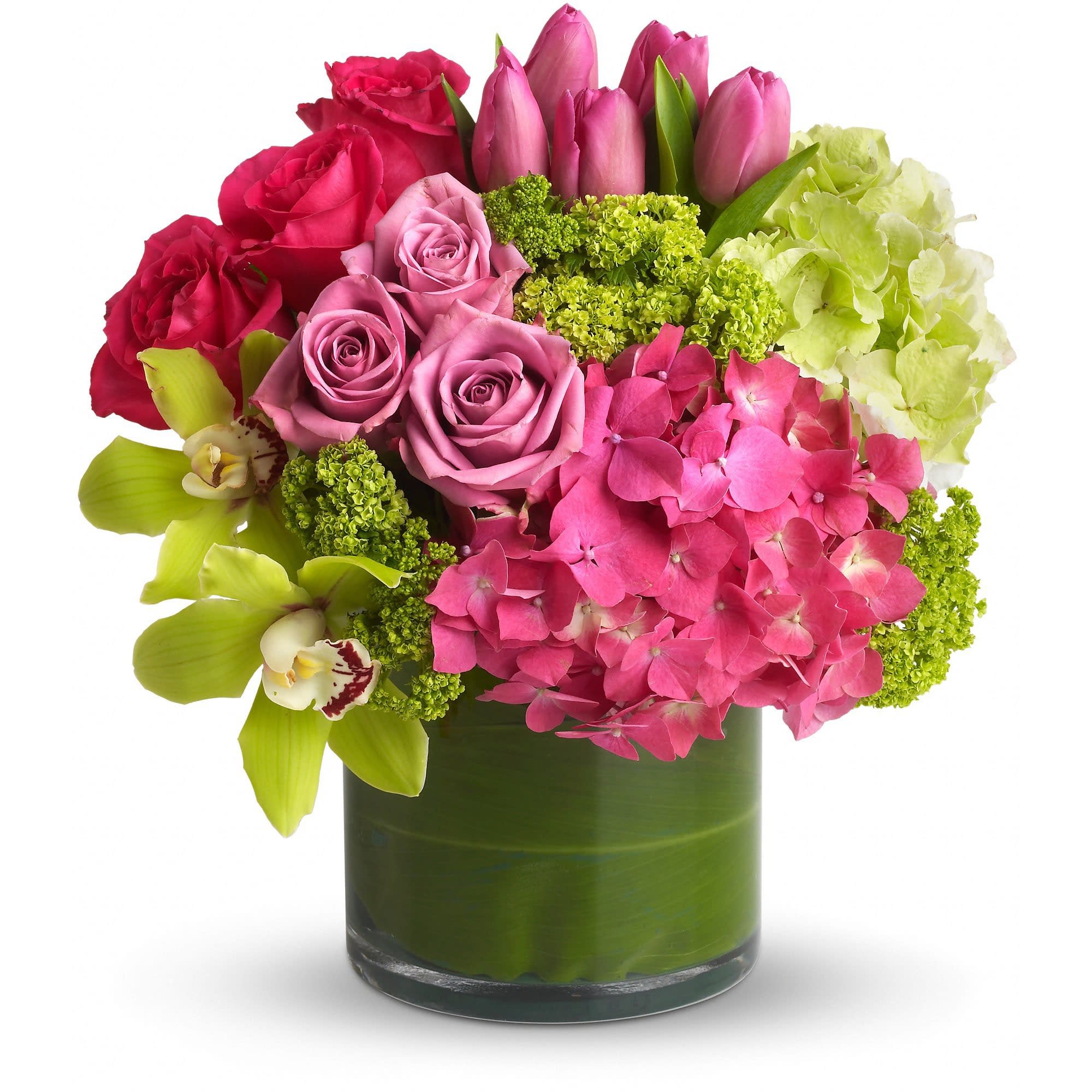 New Sensations  - Upscale and uptown. This fantastic arrangement is a beauty and a half to behold. Overflowing with gorgeous blossoms and delivered in a leaf-lined cylinder vase, it's truly a floral fantasy.    Green and pink hydrangeas, green cymbidium orchids, hot pink and lavender roses, tulips and more are beautifully arranged in a large clear glass cylinder vase.    Approximately 13&quot; W x 14&quot; H    Orientation: All-Around        As Shown : T82-3A      Deluxe : T82-3B      Premium : T82-3C    