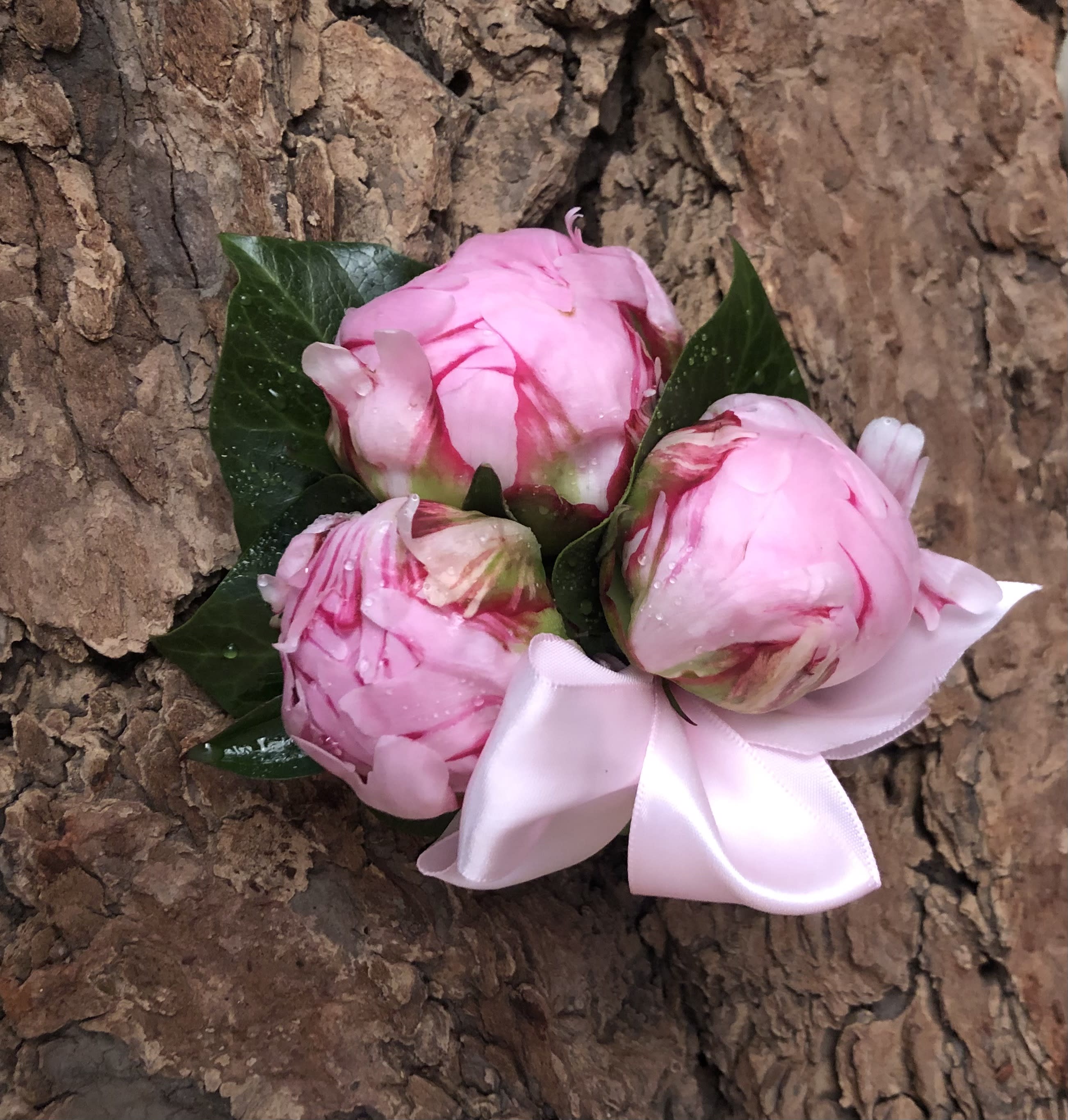 Peony wrist corsage hotsell