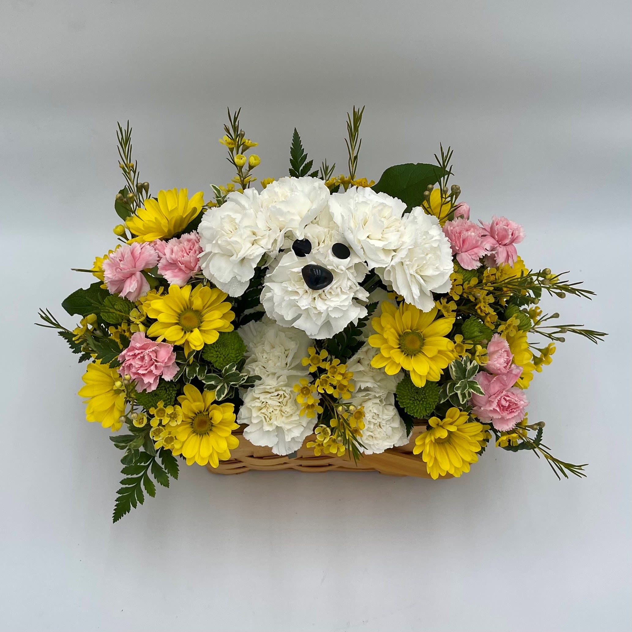 Spring Puppy - This adorable puppy is the perfect spring and summertime companion for your friends and loved ones.  Arrangement includes white carnations handcrafted into the shape of a dog with eyes and nose, yellow daisies, pink mini carnations, green poms, and assorted greenery in a basket. 